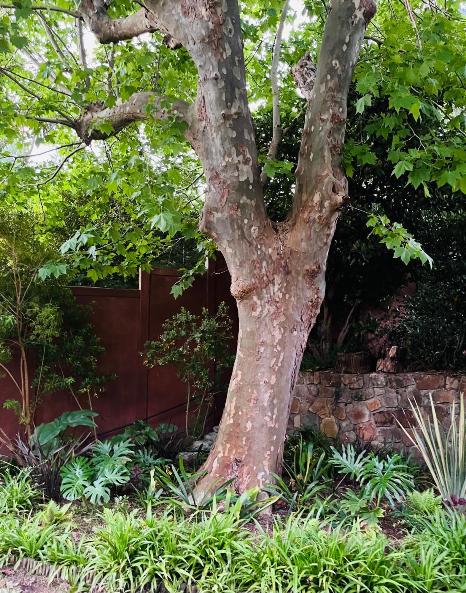 Charming Flatlet In Constantia Apartment Cape Town